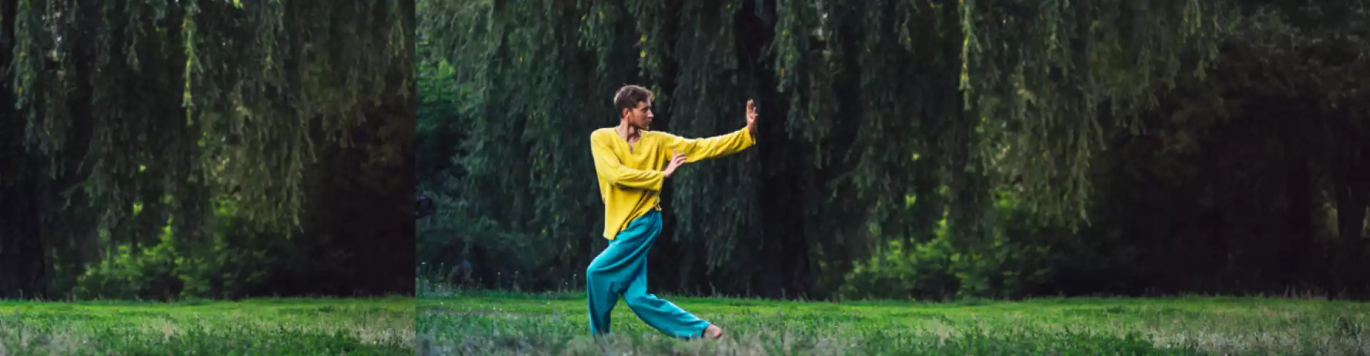 Sanftes Qi Gong - Online Class by Cassaundra Paolini